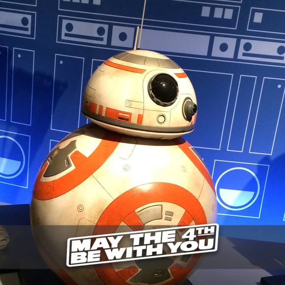 Meet your Posher, Wendy - Picture 1 of 1